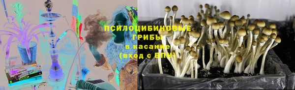 ГАЛЛЮЦИНОГЕННЫЕ ГРИБЫ Алзамай