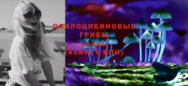 хмурый Алексеевка